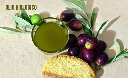 olioevo olio extravergine di oliva