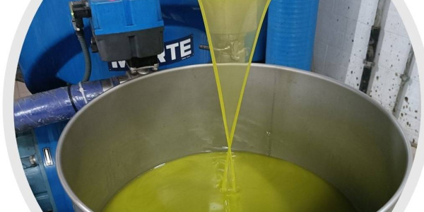 Lavorazione dell’olio Evo (olio extravergine d'oliva)