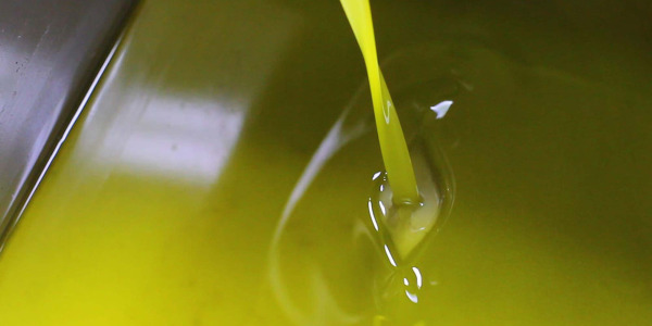 EVO OIL OR SINGLE VARIETY EXTRA VIRGIN OLIVE OIL AND BLEND: HERE ARE THE DIFFERENCES.